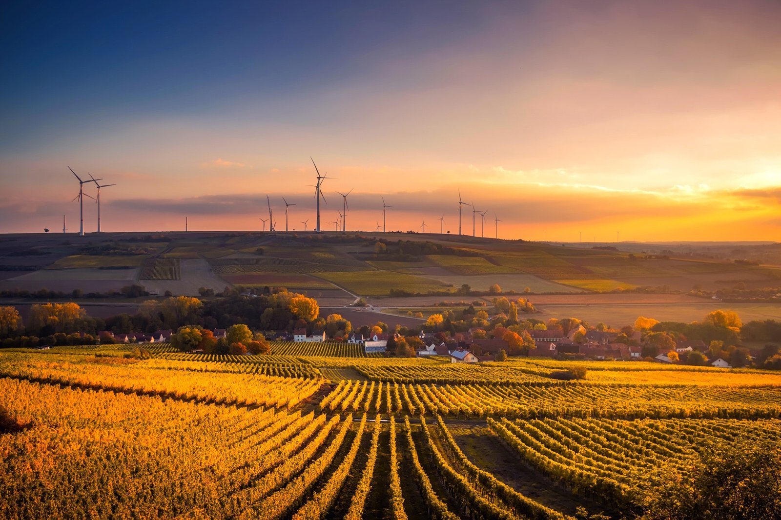 Revolutionizing Sustainable Agriculture with Technical Products in the USA